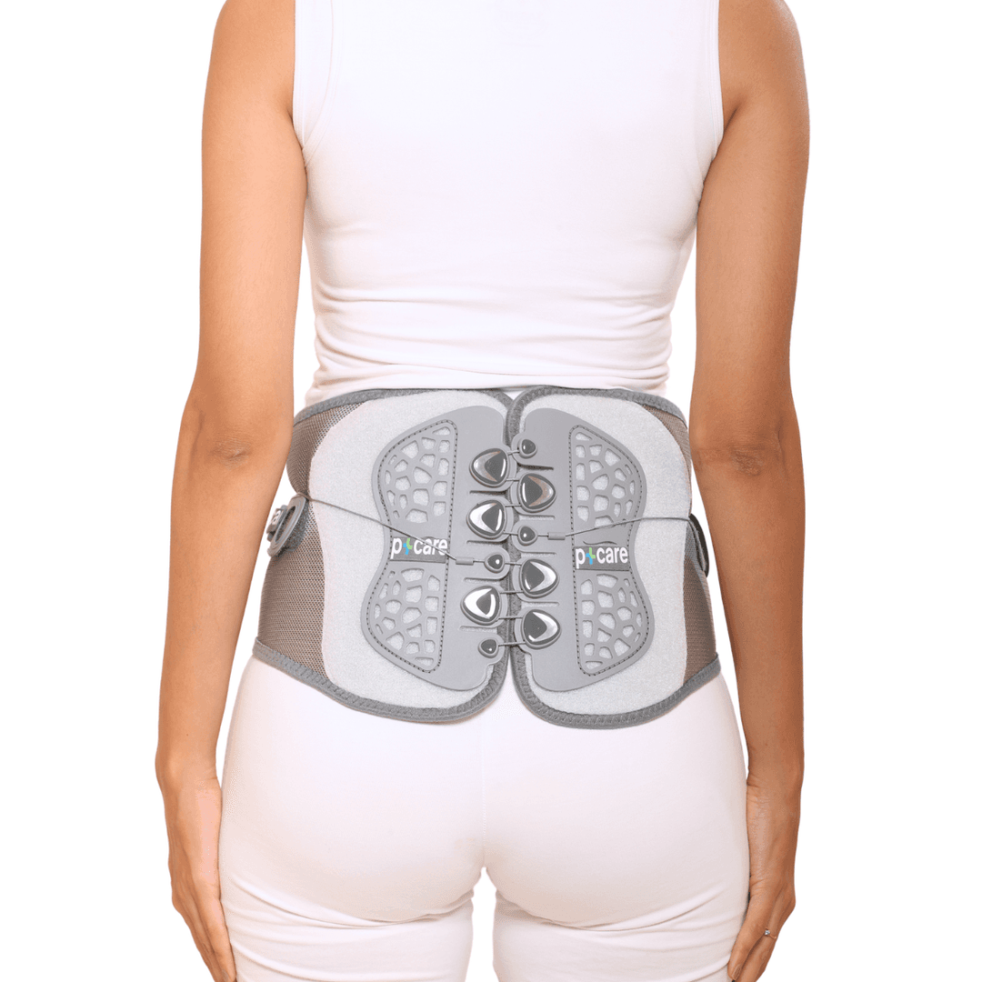 Anatomical Panels